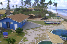 bases