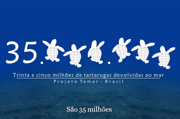 TAMAR celebra 35 milhões de tartarugas marinhas protegidas no Brasil
