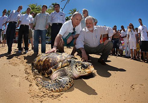 Minc na Bahia para ver as tartarugas e as baleias jubarte