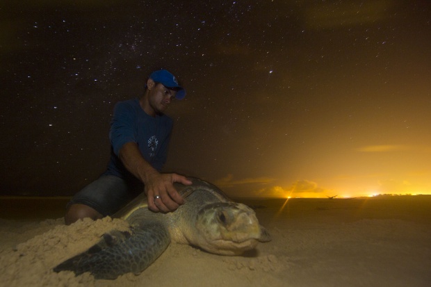 Pouca luz e mais tartarugas em Aracaju