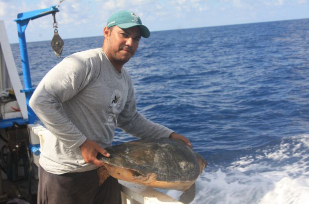 Monitoramento de cruzeiros de pesca revela dados sobre diferentes tipos de captura incidental de tartarugas