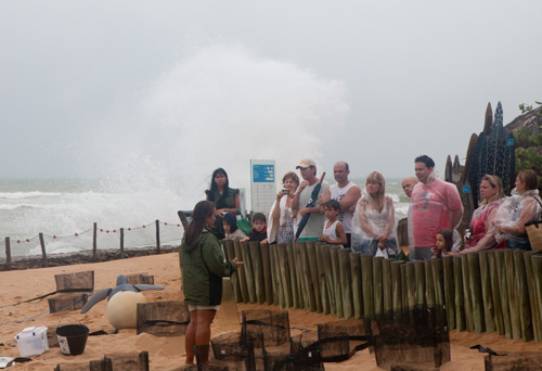 Maré bate forte no Tamar