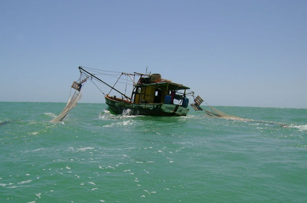 Ação inédita condena União e IBAMA por mortes  de tartarugas marinhas em Sergipe