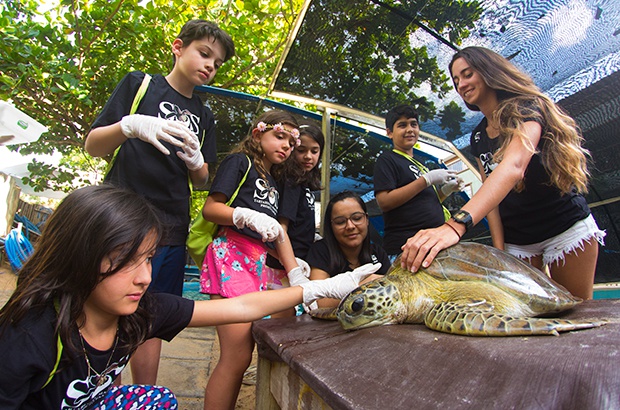 Experiências educativas aproximam crianças da conservação das tartarugas marinhas