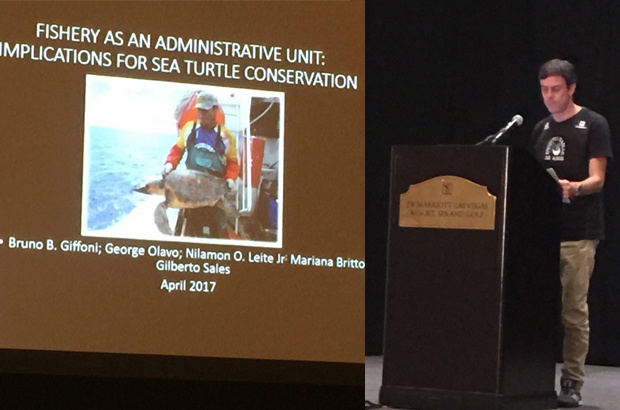 TAMAR participou de simpsio de biologia e conservao das tartarugas marinhas 
