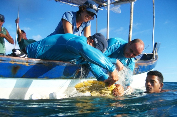 Pesquisa reúne preciosas informações sobre as tartarugas marinhas