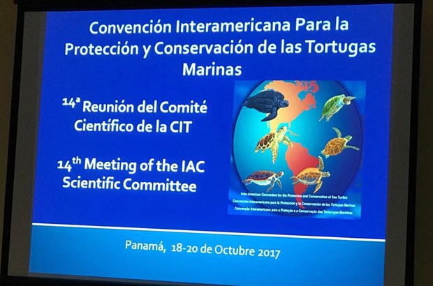 TAMAR participa da 14 Reunio do Comit Cientfico da CIT