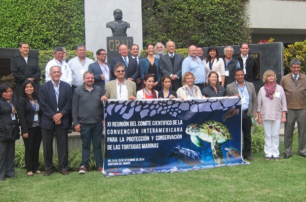 Comitê científico da CIT reuniu especialistas em tartarugas marinhas 