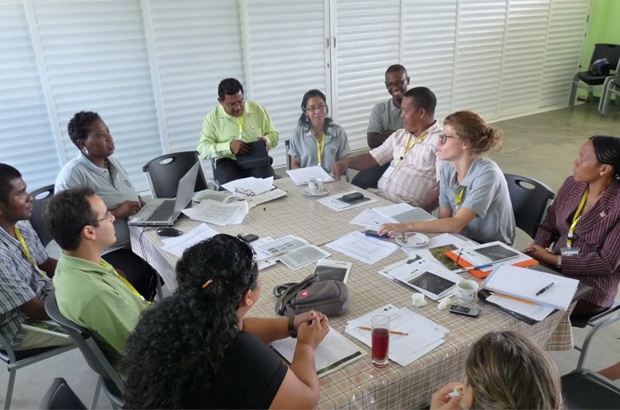 Estudos sobre tartarugas no Atlântico Ocidental aproximam pesquisadores