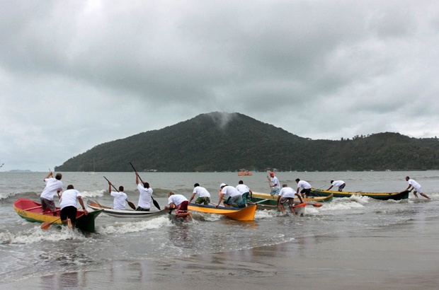 Tamar comemora aniversário e parceria com pescadores em Ubatuba