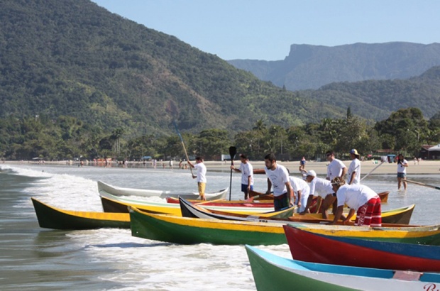 Amigo Pescador valoriza apoio às tartarugas marinhas