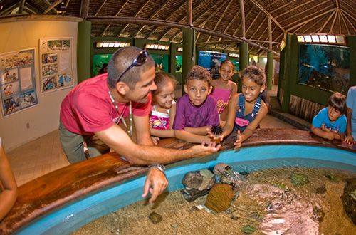 Ecoturismo: Projeto apontado como exemplo em publicação internacional.