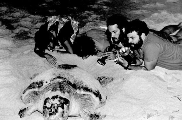 Tamar contribui com formação de especialistas em conservação de tartarugas marinhas
