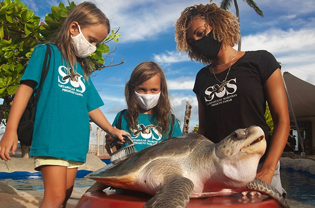 Aes de sensibilizao ambiental do Projeto Tamar - o que acontece nos Centros de Visitantes e nas plataformas digitais.