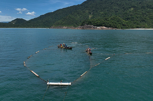 “De pai para filho”, pescadores de Ubatuba/SP seguem contribuindo na pesquisa sobre as tartarugas marinhas.