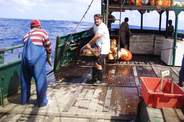 Tartarugas marinhas do Atlântico ganham mais atenção da Comissão do Atum