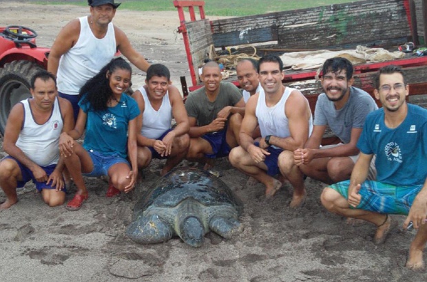 Militares ajudaram a salvar um macho de tartaruga-verde na ilha da Trindade