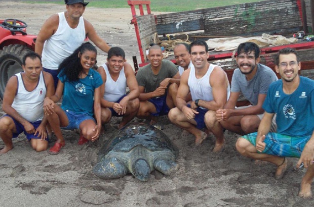 Militares ajudaram a salvar um macho de tartaruga-verde na ilha da Trindade