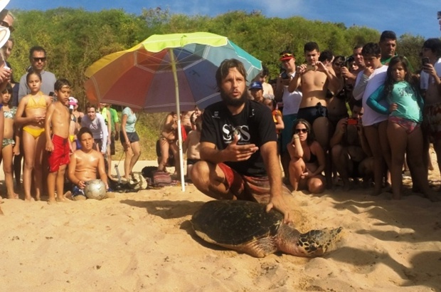 Tartarugas marinhas são marcadas para viver