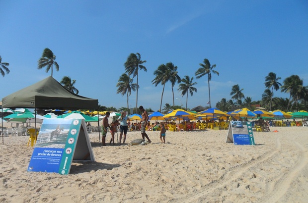 Campanha Nossa Praia é a Vida melhora qualidade ambiental do litoral norte