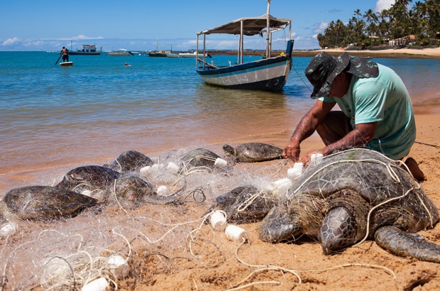 Diário de Bordo: o perigo das redes de pesca para a sobrevivência das tartarugas marinhas