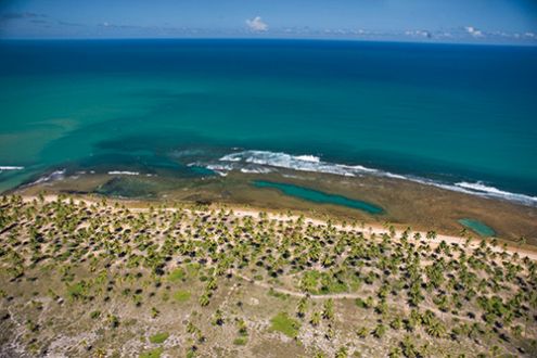 Oficinas apontam caminhos para criao de unidade de conservao na Praia do Forte