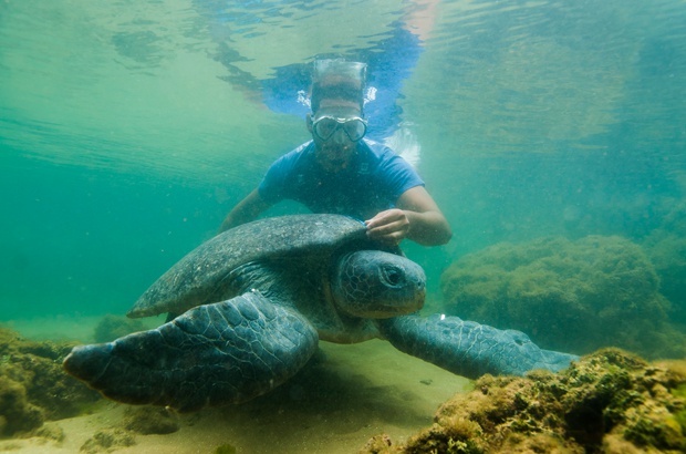 Plano de Ação Nacional para Conservação das Tartarugas Marinhas