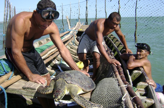 Parceria com pescadores do Cear: ganhos para as tartarugas e comunidades