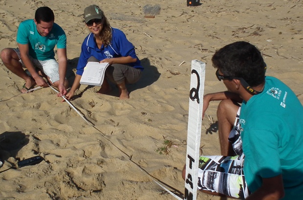 Nova fase de estudo analisa impactos de mudanças climáticas em tartarugas marinhas