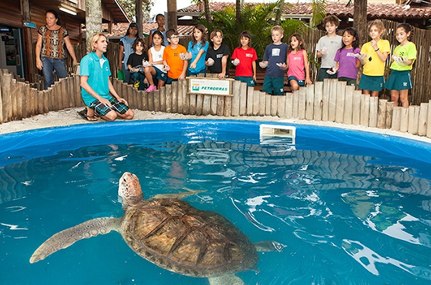 Programação especial Semana do Meio Ambiente e Dia Internacional da Tartaruga Marinha