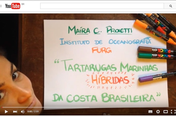 Pesquisa sobre tartarugas marinhas é selecionada para a final do Science Slam Brasil