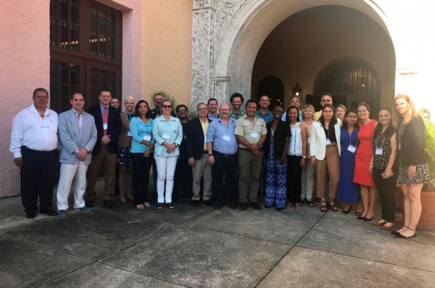 Pesquisadores do Projeto Tamar participam de reunião do comitê científico da CIT