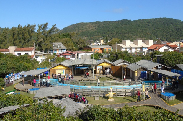 TAMAR Florianópolis tem novidade para quem curte tecnologia