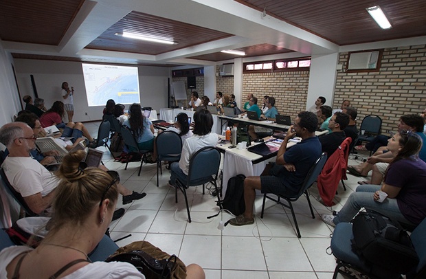 Reunião anual em Florianópolis avalia prioridades para as tartarugas marinhas nas áreas de atuação do Tamar