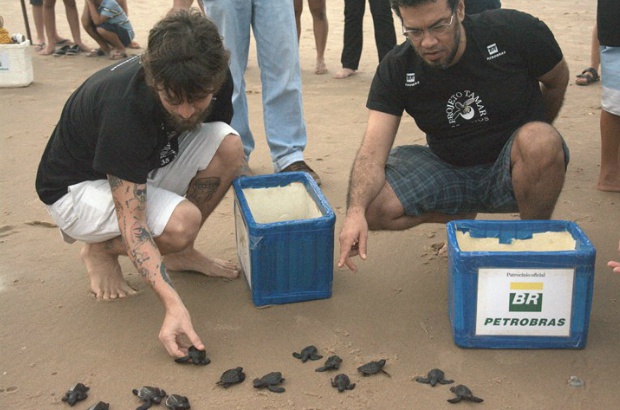Saulo lançou moeda para proteger as tartarugas marinhas