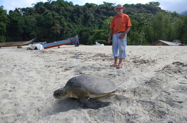 Pescadores têm papel fundamental na pesquisa sobre a tartaruga-verde