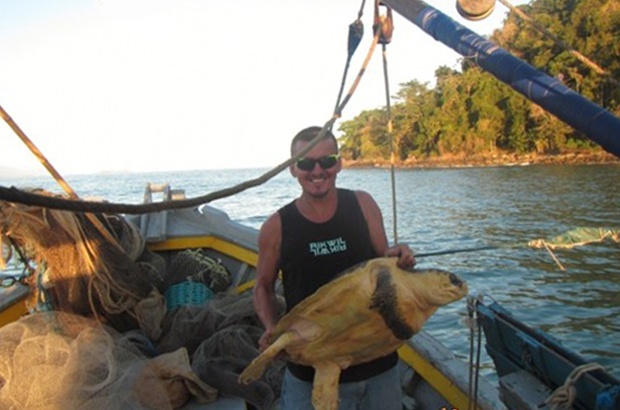 Cabeçuda é devolvida ao mar em Ubatuba após cirurgia