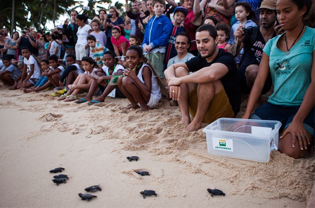 Atividades de junho tiveram intensa participação dos amigos das tartarugas e dos oceanos