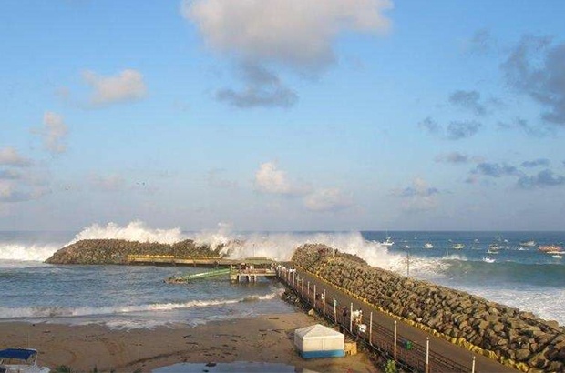 <i>Swell</i> é ameaça natural à sobrevivência das tartarugas marinhas durante tempestades