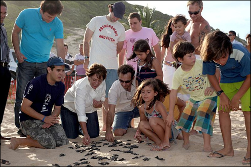 Governadora do Rio Grande do Norte solta filhotes de tartaruga na praia de Pipa