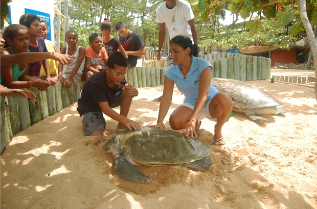 Programa Tamarzinhos inicia novas turmas na Praia do Forte