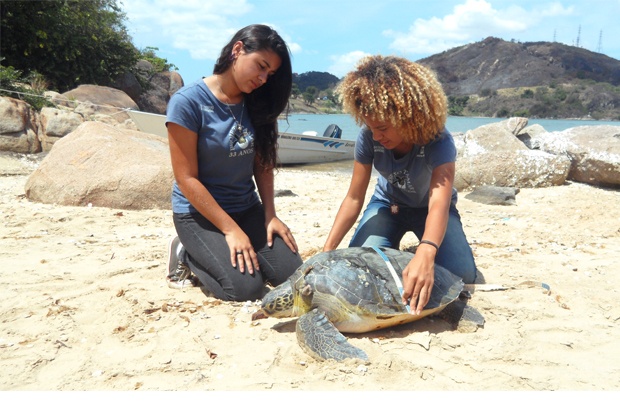 Colaboração da comunidade salva tartaruga marinha em Vitória