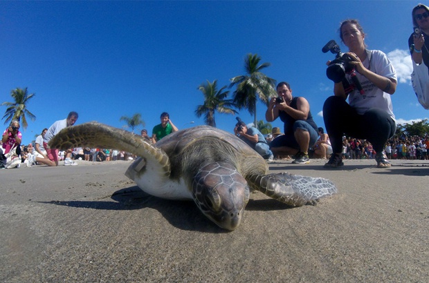 V Semana do Mar tem programação especial no Mês dos Oceanos em Ubatuba-SP